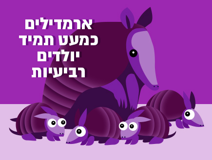 10 עובדות (אינפוגרפיקה: סטודיו mako)