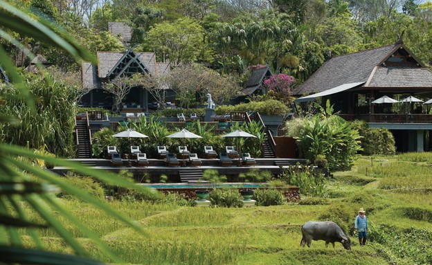 מלונות בתאילנד מלון פגודה, בחוות אורז פעילה (צילום: fourseasons.com)