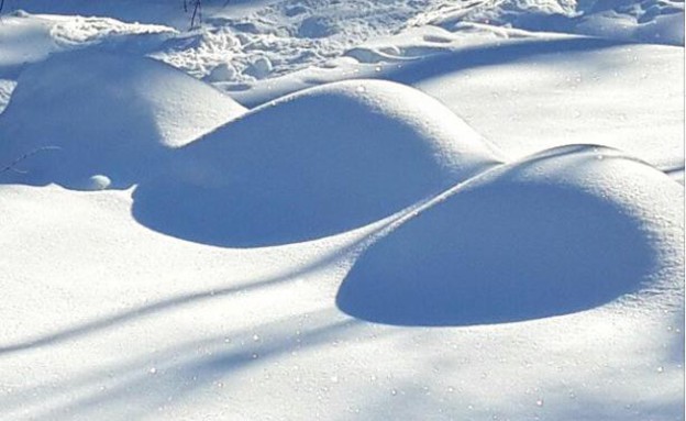 שלג במונטריאול (צילום: אסנת סקובלינסקי)