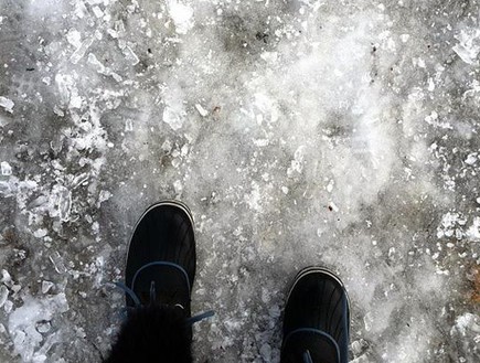 שלג במונטריאול (צילום: אסנת סקובלינסקי)
