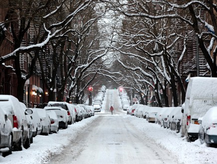 שלג למגזין - שלג בניו יורק  (צילום: Yana Paskova, GettyImages IL)