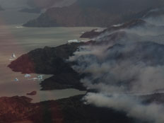 שריפה בפארק הלאומי בצ'ילה| ארכיון (צילום: רויטרס)