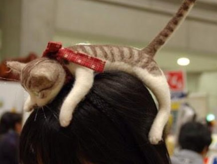 החמישייה 2.2, קשת חתול לשיער (צילום: hiyorimimuseum.blog20.fc2)