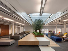צפו: כך נראים משרדי חברות ההייטק (צילום: פייסבוק)