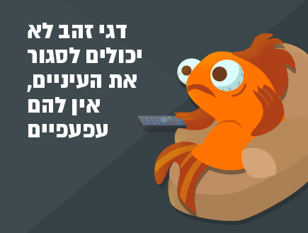 10 עובדות (אינפוגרפיקה: סטודיו mako)