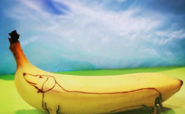 יצירות בננות (צילום: סטפן ברוש)