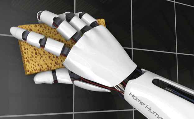 רובוט במלון, מנקה