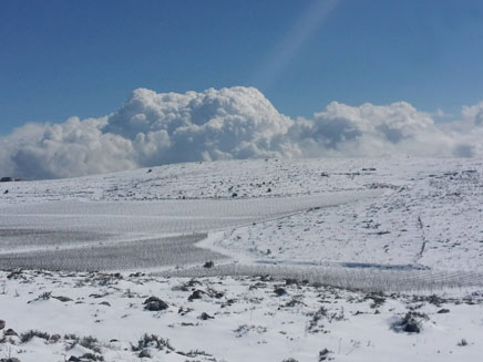 לבן ועוד לבן: שלג ועננים בהרי שילה (צילום: אהרון קצוף)