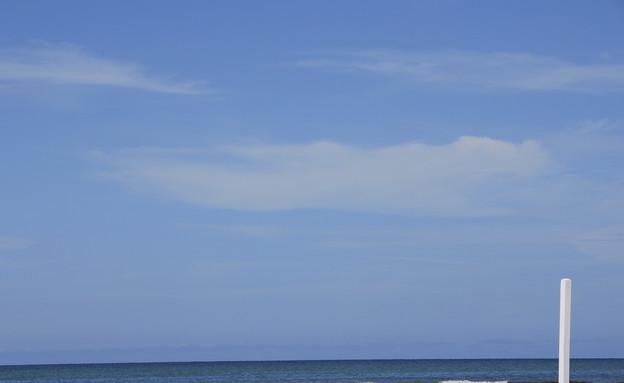 חוף סייסטה, פלורידה (צילום: אימג'בנק/GettyImages)