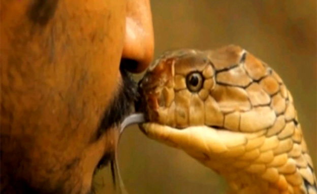 צפו: תרגיל "נשיקת הנחש" של המהפנט ממלזיה