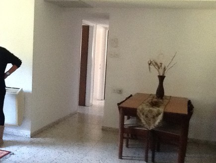 הדירה של ענבר, לפני  (צילום: עידו קליר )