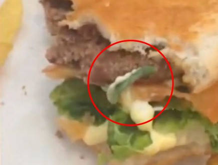 זחל בהמבורגר (צילום: יוטיוב)