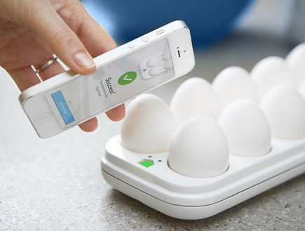 מד גיל ביצים (צילום: quirky.com)