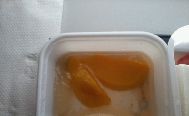 הארוחות הכי גרועות בטיסה