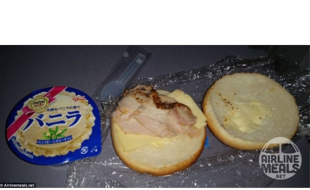 הארוחות הכי גרועות בטיסה