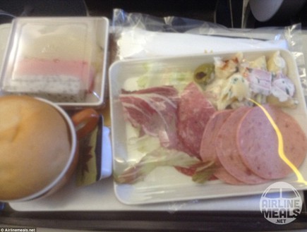 הארוחות הכי גרועות בטיסה (צילום: airlinemeals.net​)