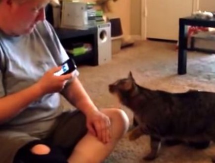 מדברת עם החתול (צילום: יוטיוב)