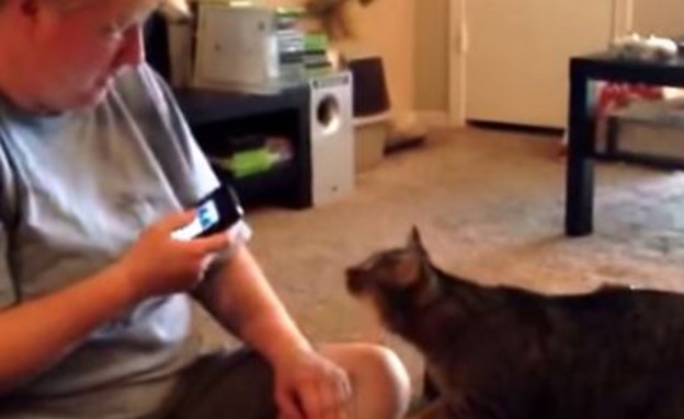 מדברת עם החתול (צילום: יוטיוב)