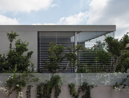 יעקבס יניב אדריכלים 01, הבית חזית קדמית (למעלה)  (צילום: יואב גורין)