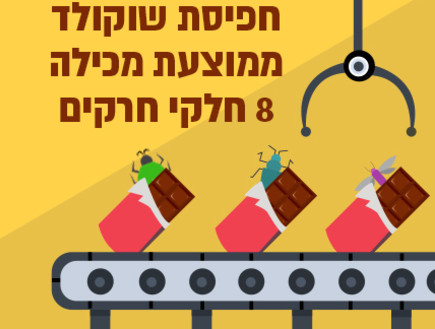 10 עובדות (אינפוגרפיקה: סטודיו mako)