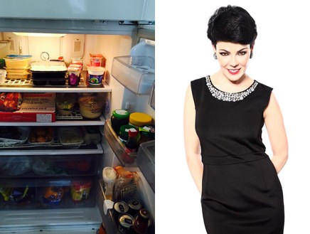 המקרר של דנה רון (צילום: צילום דנה רון: דני מילר | צילום המקרר: דנה רון)