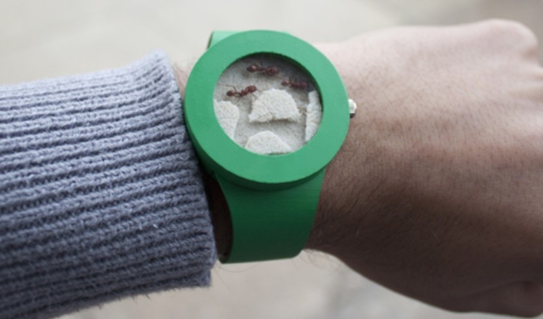 שעון נמלים, אפילו לא תדעו מה השעה (צילום: analogwatchco.com)