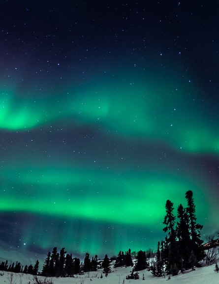 אורות הצפון, אלסקה (צילום: Alexis Coram)