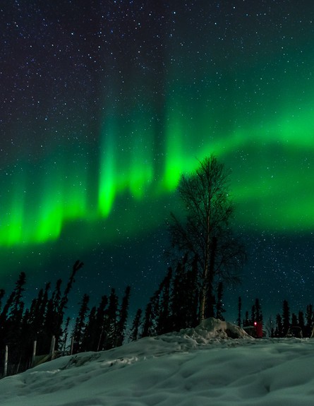 אורות הצפון, אלסקה (צילום: Alexis Coram)