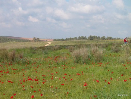 שמורת פורה (צילום: יוחאי כורם)