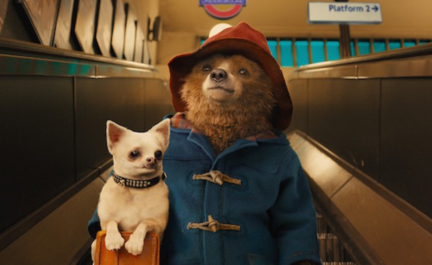 הדב פדינגטון