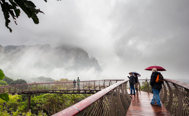 הגן הבוטני קירסטנבוש (צילום: אדם הארוור, Kirstenbosch)