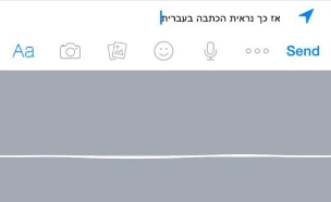 הכתבה בעברית ב-iOS 8.3 (צילום: אריק שיינר | Tgspot)