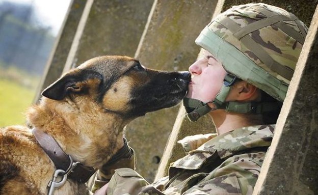 חיילים ובעלי חיים (צילום: boredpanda.com​)