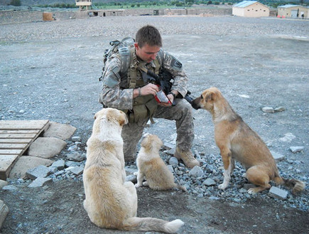 חיילים ובעלי חיים (צילום: boredpanda.com​)