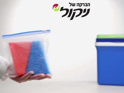 טיפים לפיקניק עצמאות, ניקול (צילום: יחצ ניקול)