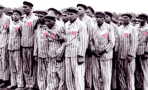 הומואים גרמניה הנאצית (צילום: צילום מסך מאתר ויקיפדיה)