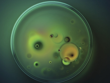 חיידקים תחת המיקרוסקופ (צילום: אימג'בנק / Thinkstock)