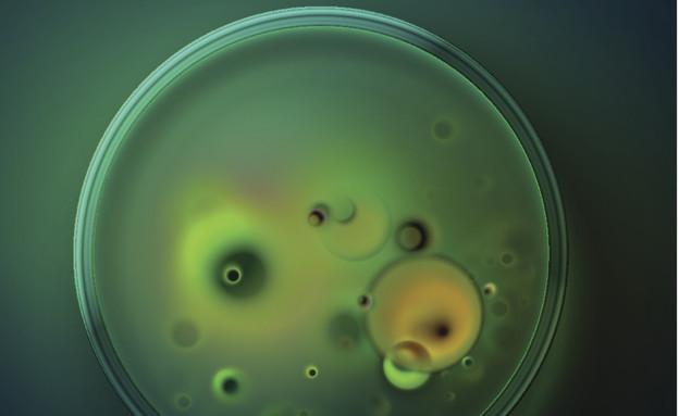 חיידקים תחת המיקרוסקופ (צילום: אימג'בנק / Thinkstock)