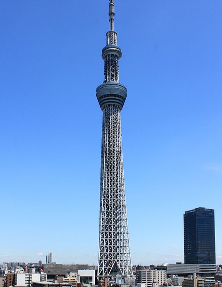 עץ השמיים, טוקיו (צילום: Kakidai, ויקיפדיה)