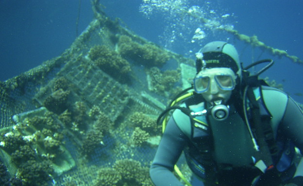 המכון הלאומי לאוקיאנוגרפיה המכון הלאומי לאוקיאנוגרפיה