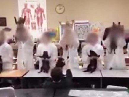 ריקוד חתולים מתים (צילום: יוטיוב)