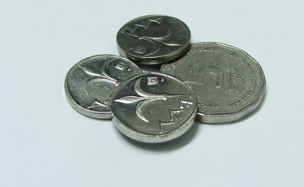 מטבעות בשקלים (צילום: stock_xchng)