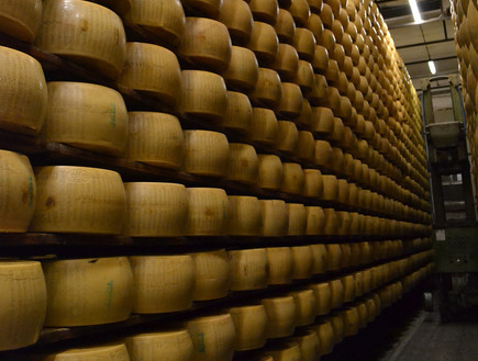 גבינות פרמזן באמיליה רומאניה (צילום: Annie and Andrew, flickr)