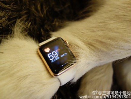 כלב עם אפל ווטש (צילום: weibo.com)