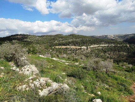 ירושלים מתצפית הסטף (צילום: דב גרינבלט)