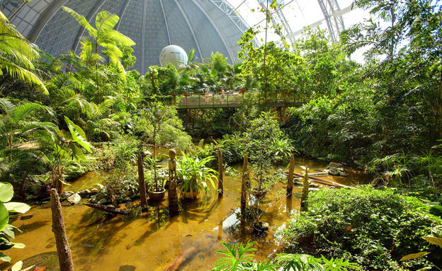 פארקי מים 06, עשרות אלפי סוגים של צמחים טרופיים (צילום: tropical-is)
