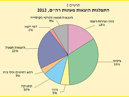 התפלגות הוצאות המעונות בשנת 2012 (צילום: מבקר המדינה)