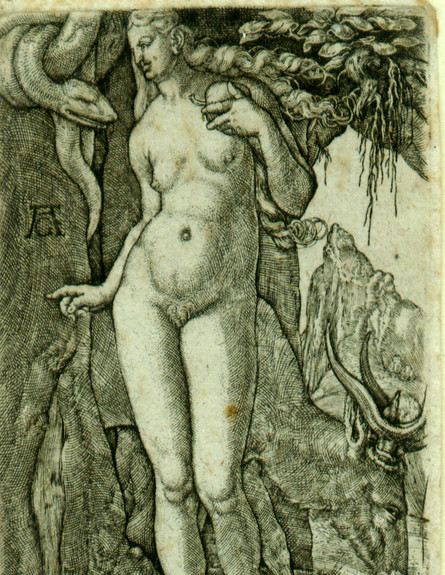חוה, 1540 (איור: אלדגרבר)