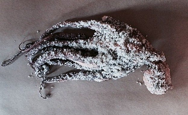 "הכל כבר כאן"