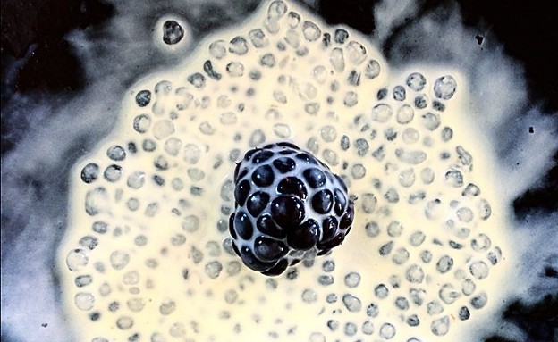 "הכל כבר כאן"